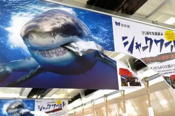 這是一張海報的正反面。人們很容易被這個破損的不尋常海報吸引注意力。