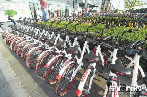 昨日下午，在開福區(qū)萬達(dá)廣場，成片的共享單車停放在廣場前坪。 長沙晚報(bào)記者 黃啟晴 攝
