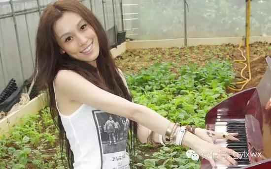 明星旅行糗事一籮筐 總有一個(gè)萌到你！