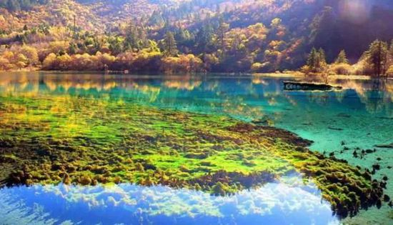 門票那么貴 沒法玩耍了！