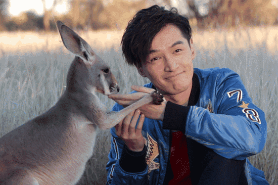 小袋鼠還有親到胡歌喲！