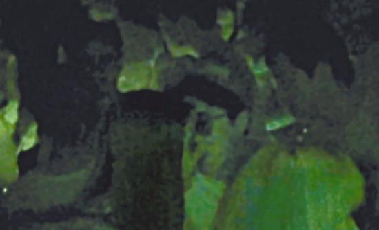 房祖名去年被港媒直擊在中環(huán)夜店與長發(fā)妞互動曖昧，女生正是Nana