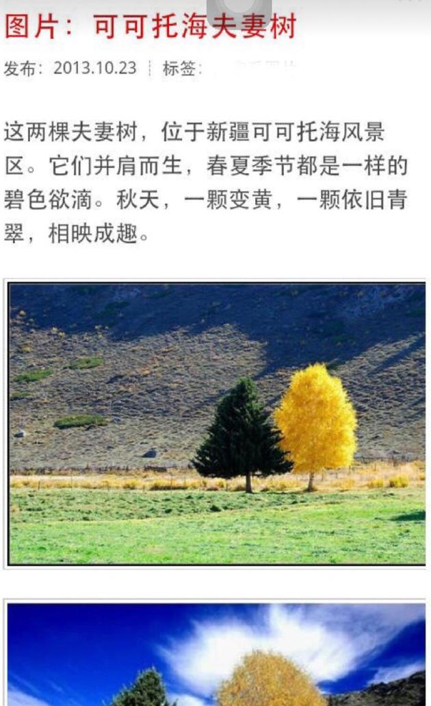 李晨公開(kāi)戀情1周年