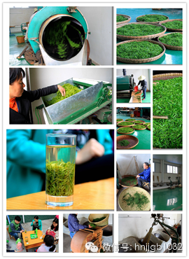 制茶的工藝真地道，仿佛聞到了茶香