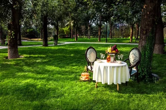 秋陽(yáng)鴻園，芳草青青