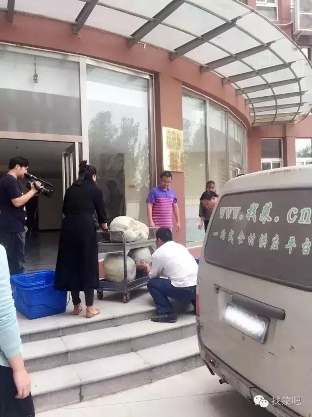 找菜網(wǎng)認購百萬斤冬瓜，解農(nóng)戶燃眉之急