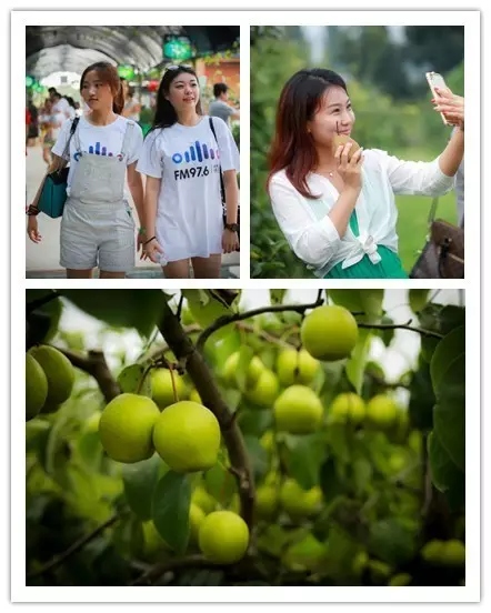 美女與香梨，你更愛(ài)哪一個(gè)？！