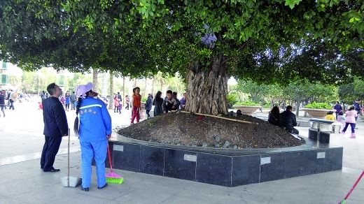 物管人員打算拆除小帳篷（白圈），小孩在一旁依依不舍