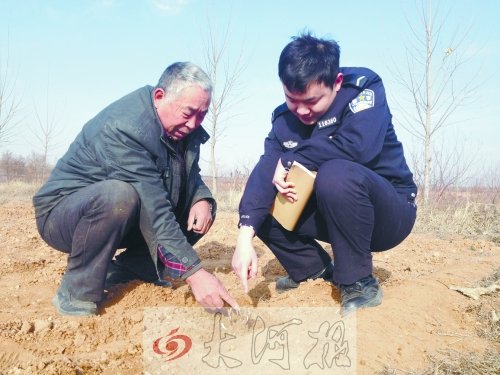 牡丹苗被盜之后，郭萬通又補種的牡丹苗已經(jīng)發(fā)芽