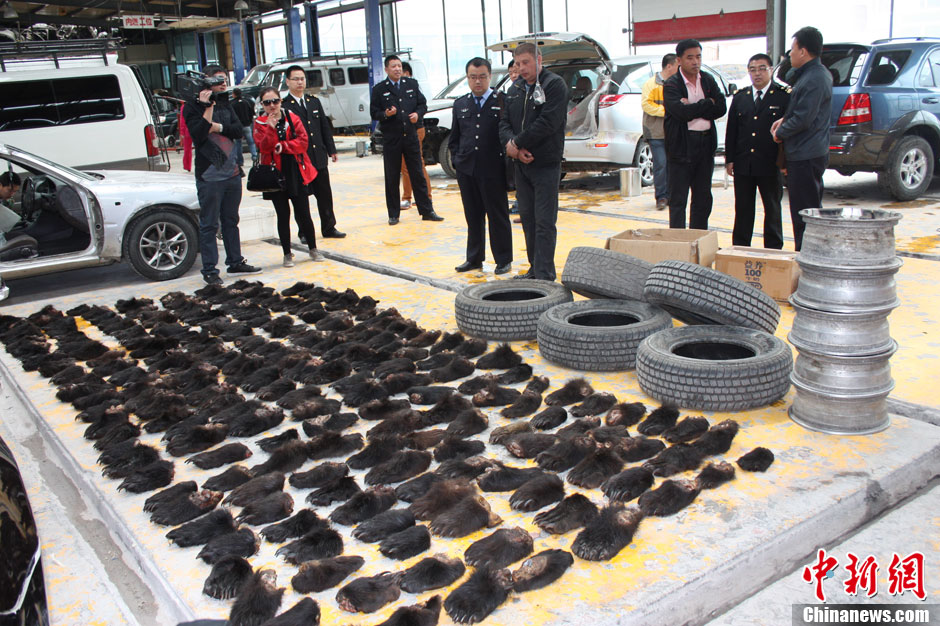 滿洲里海關(guān)破獲全國(guó)最大熊掌走私案