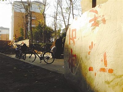 昨日，“上海奇石盆景博物館”原址上，已矗立起小區(qū)樓盤(pán)，而刻著博物館名的巨石，廢棄在一旁。本版圖片/新京報(bào)記者 張永生 攝