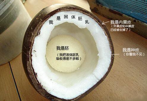 你在甜品店常吃的東西，到底都是啥？