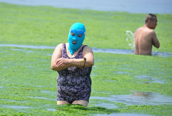2013年7月3日，山東青島青島高溫來(lái)襲，“青島大媽”不懼滸苔，戴著“強(qiáng)盜面具”出現(xiàn)在海水浴場(chǎng)消暑降
