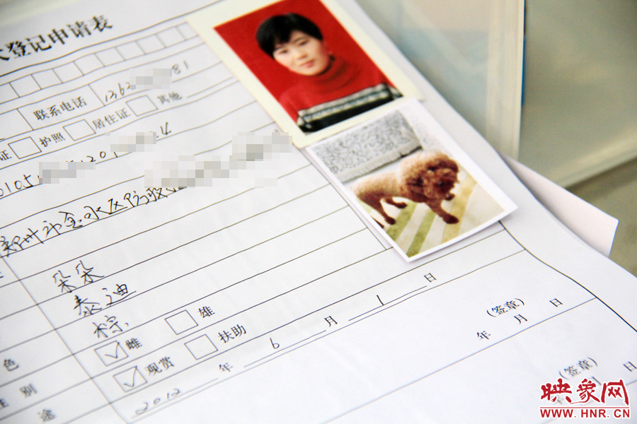 辦理狗證，需要填寫申請表