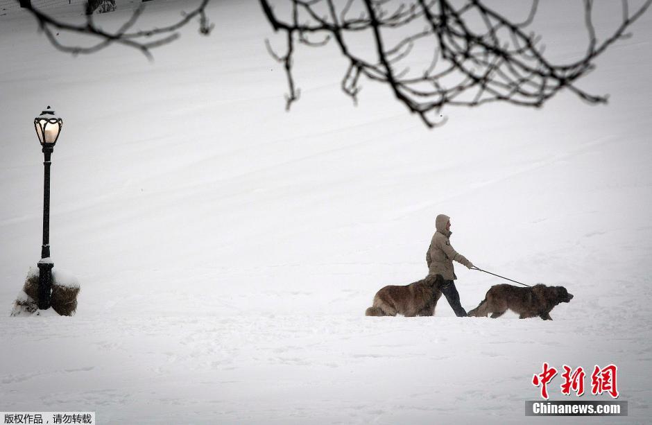 美國中東部遭暴風雪肆虐 街頭房屋變“冰屋”