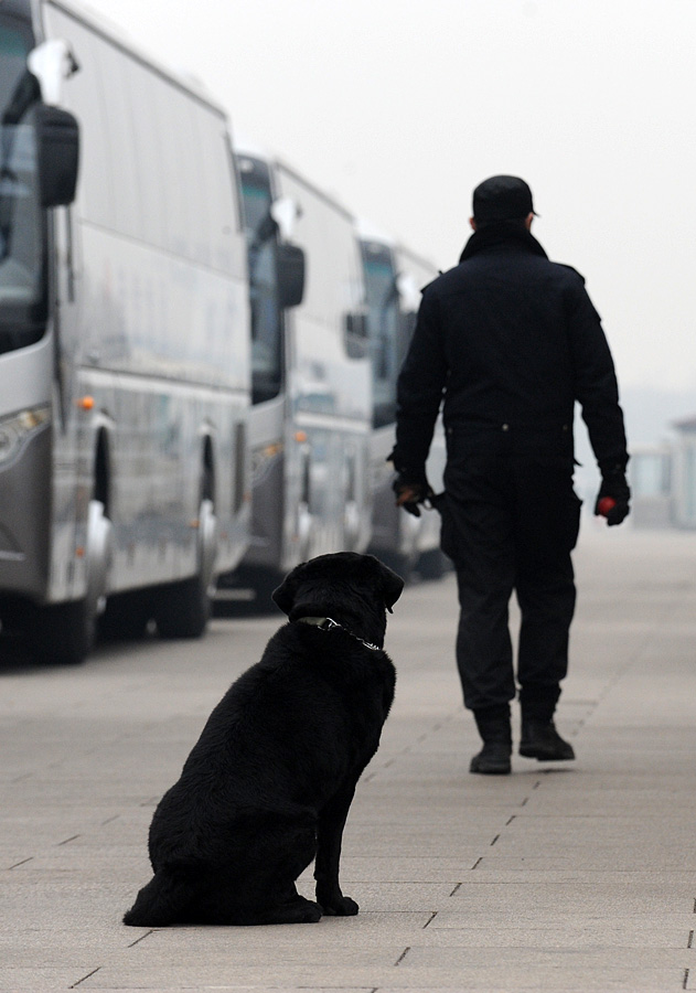 兩會(huì)精彩圖集