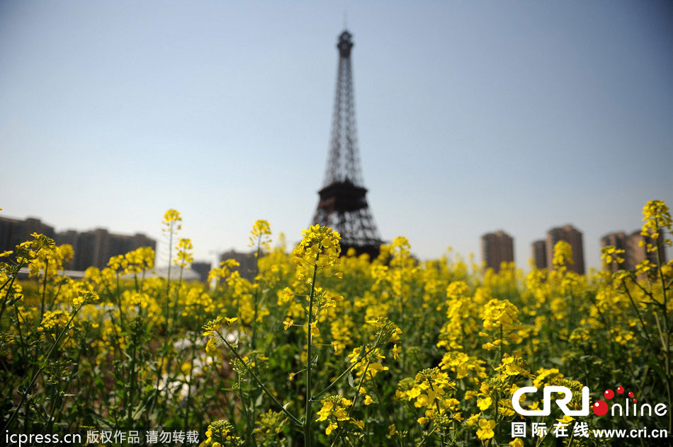 　2014年3月21日，杭州天都城，農(nóng)民在山寨埃菲爾鐵塔下耕作。圖片來源：東方IC