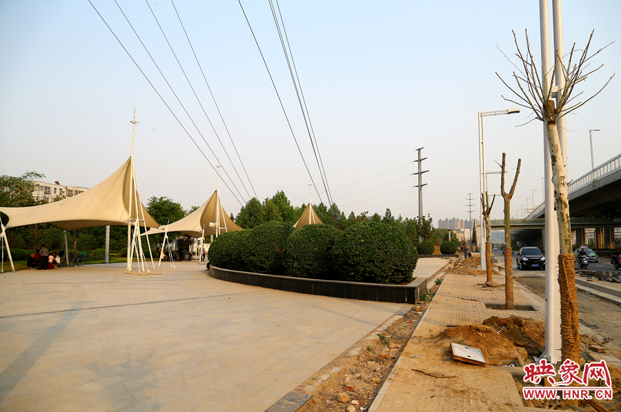 三環(huán)快速路旁邊的綠化帶也現(xiàn)出芳容 三環(huán)快速路旁邊的綠化帶也現(xiàn)出芳容