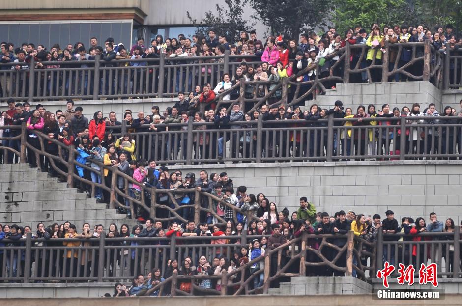 重慶上萬(wàn)粉絲在南濱路等待《奔跑吧兄弟》節(jié)目的錄制。