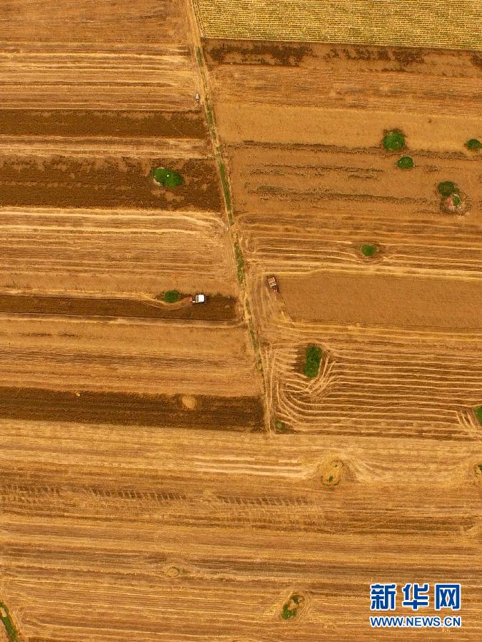 這是5月28日在河南省南陽市唐河縣甘河灣村航拍的麥?zhǔn)宅F(xiàn)場。