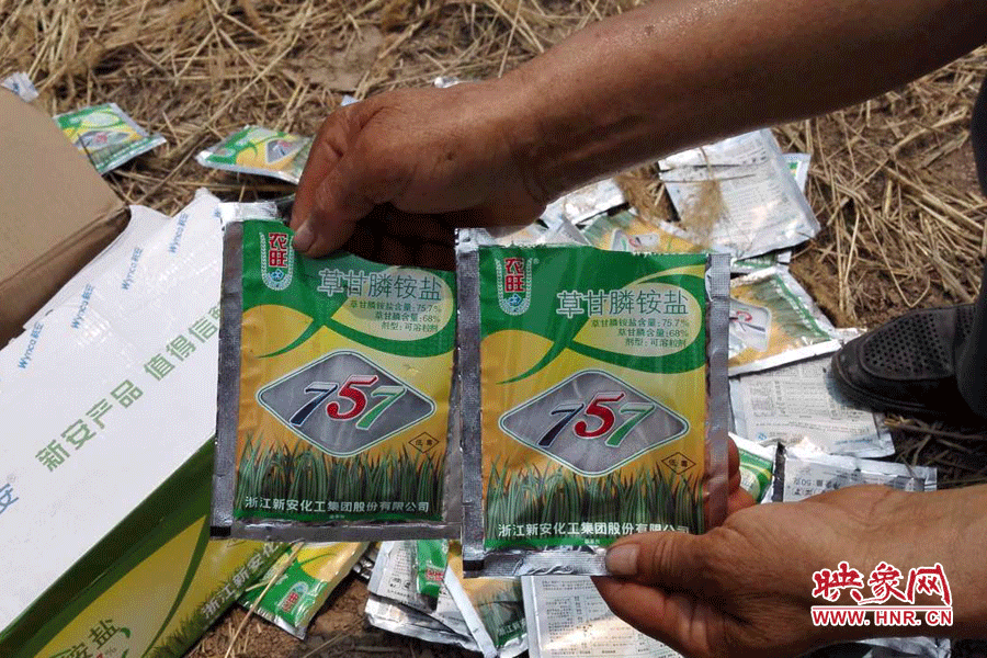 毀掉玉米的農(nóng)藥袋散落在地頭。