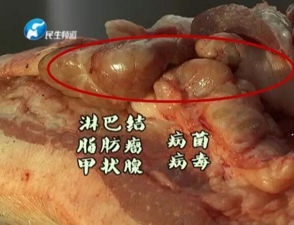 血脖肉 血脖肉