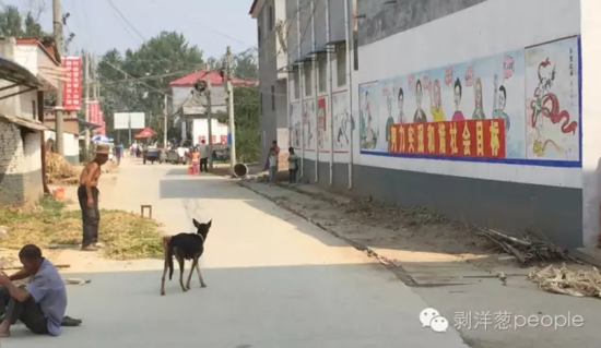 孫莊村一角。新京報(bào)記者安鐘汝 攝