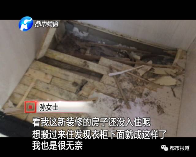 蟻族大軍入侵！十幾萬裝修的新家被“吃掉”