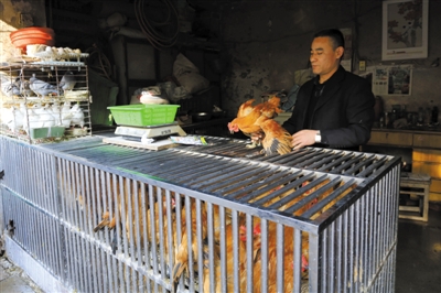 南京另一家農(nóng)貿(mào)市場內(nèi)待售的活雞。因南京出現(xiàn)H7N9禽流病例，買活雞的顧客減少。