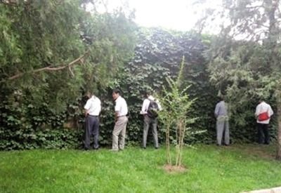 6月30日，頤和園內(nèi)綠地上，多名游客在小解。 網(wǎng)友“攝影老鬼” 攝