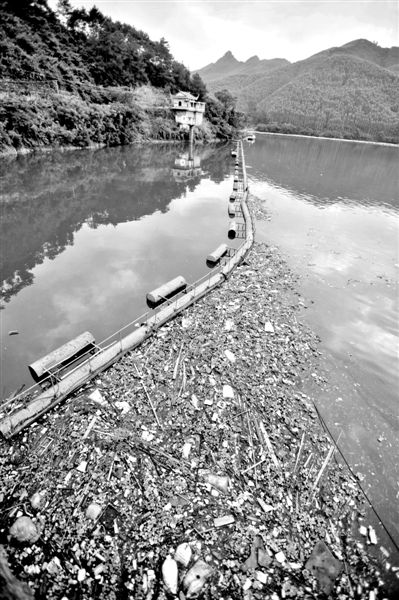 7月7日，廣西賀州市賀江合面獅段被污染的水域。據(jù)新華社