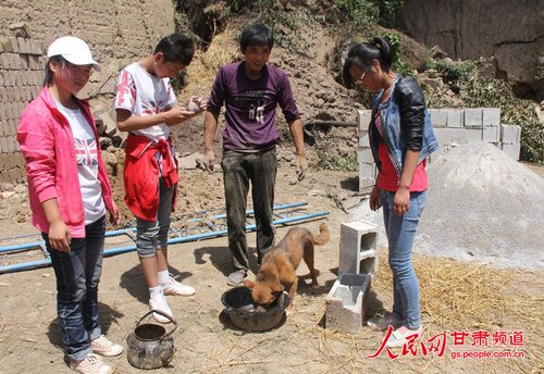 渴壞了的小黃狗在喝水。王生元/攝