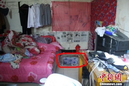 圖上紅圈內(nèi)為嫌犯所挖地窖入口。 吳佳蔚 攝