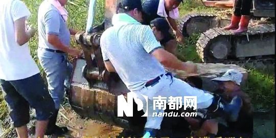 幾名戴黑帽的男子將一名老人推入水塘，后反復(fù)腳踹。