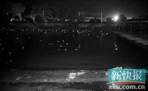 昨日，西湖村鱷魚養(yǎng)殖場已修復(fù)圍欄。