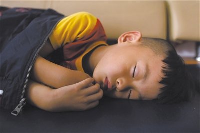 9月6日，等待錄制節(jié)目的多多躺在沙發(fā)上熟睡。新京報(bào)記者 侯少卿 攝