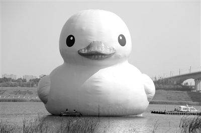 昨日，經(jīng)過連夜修正，大黃鴨的嘴部已恢復(fù)變寬，和在香港展出時看起來一樣。