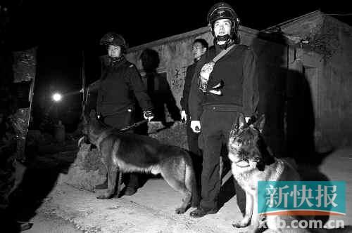 緝毒犬協(xié)助警方搜查毒品。
