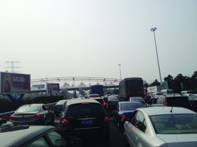 收費(fèi)站前長長排隊(duì)的車輛。陳郁