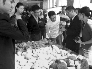 前段時間，夫子廟古玩城舉行的一場賭石活動，吸引了不少人參與