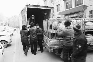 　　■返還追回的被搶綿羊。 本報記者董世杰攝