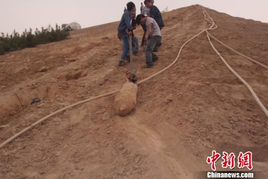 　4月27日上午，當(dāng)?shù)卮迕裨诠系販洗逡痪G化處挖出一枚長(zhǎng)1米，重200斤的炸彈，5月10日，這枚炸彈已