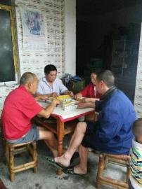 掃水掃不及，胥家鎮(zhèn)柏河村的居民干脆打起了麻將。