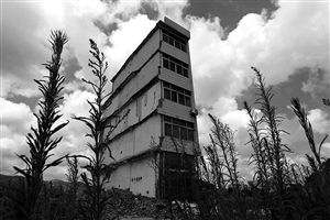 這幢5層的“片片樓”周圍已是一片拆遷后的廢墟，左邊的一堵墻上，不少鋼筋裸露在外面 圖片來源：新華網(wǎng)