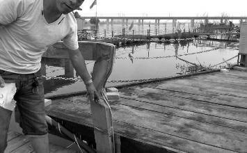 鼻孔里凝著血痂、全身多處擦傷的周先生仍有些驚魂未定。