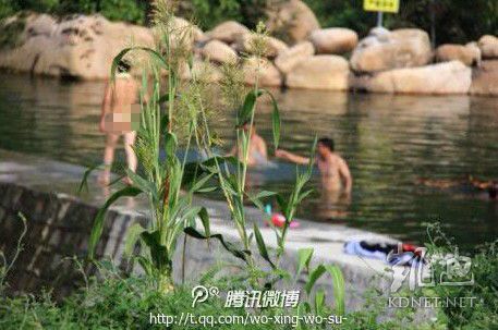 網(wǎng)友曝光的現(xiàn)場(chǎng)圖片。（圖片來(lái)自網(wǎng)絡(luò)）