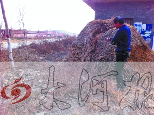 張哥、張弟就是在這兒撿到的投毒面包。