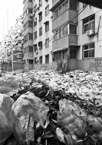 透過擋板縫向內(nèi)看，30多米垃圾已經(jīng)將居民樓包圍。