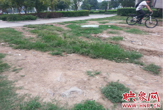 公園內(nèi)大片草坪遭到破壞。