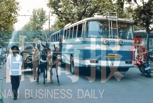 當(dāng)年的伏牛路，驢車和公交車并行